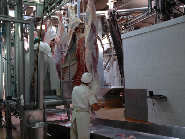 Filière viande : Une cotisation bien employée à Normabev