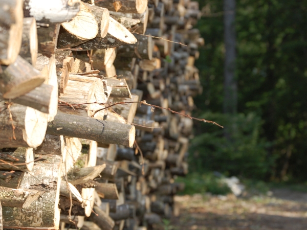 Le bois-énergie : donner une seconde vie aux résidus du bois pour réduire notre dépendance énergétique