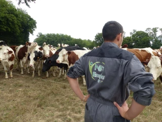 À Agri emploi 01 les salaires sont revalorisés depuis le 1er juillet 