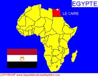 L'Egypte autorise les importations de bovins d'engraissement depuis la France