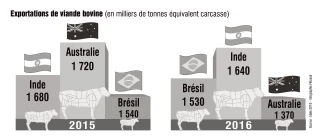 L’Inde redevient le premier exportateur mondial de viande bovine
