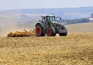 La gestion des mauvaises herbes commence bien avant le semis des colzas