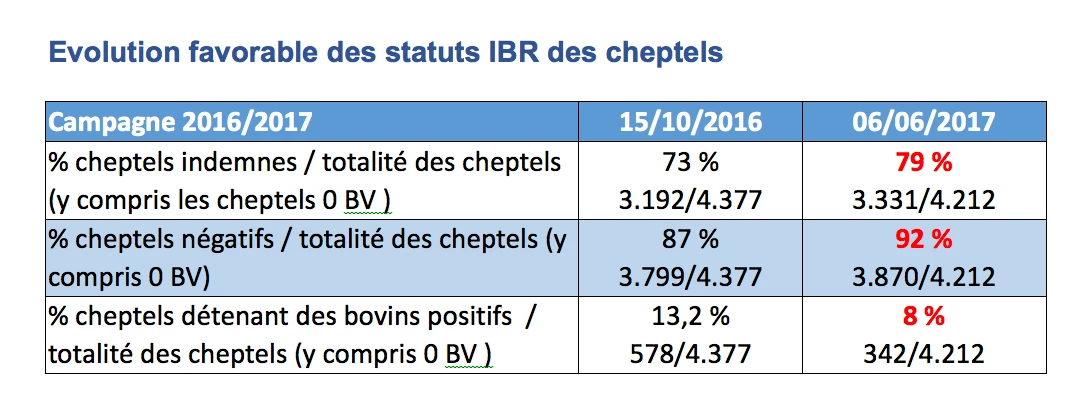 L'éradication de l'IBR est en bonne voie dans le département