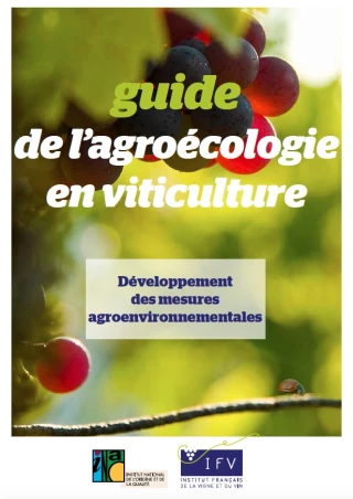 L'IFV et l'INAO ont sorti un guide gratuit sur l'agroécologie en viticulture