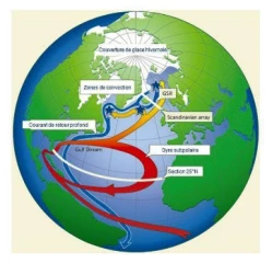 Contre toute attente, des chercheurs prédisent le refroidissement de l’Atlantique Nord…