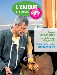 Parce que l'amour est dans le pied, tout savoir sur les boiteries en élevage laitier