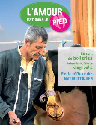 Parce que l'amour est dans le pied, tout savoir sur les boiteries en élevage laitier