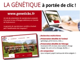 Alsoni Conseil élevage présentera au Sommet de l'Elevage ses différents services