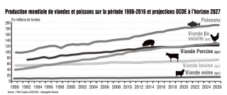 Depuis cette année, la volaille est la viande la plus consommée dans le monde...