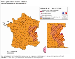 La Saône-et-Loire est placée en Zone de surveillance de la FCO 4, avec des impacts directs sur les flux commerciaux de bétail vif, pour la reproduction comme pour les broutards…