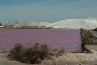 Les élèves de Fontaines partent à la découverte de deux productions "phares" du Sud : le sel et le riz