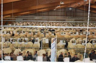Le Festival du bœuf charolais se prépare à ouvrir ses portes... avec ou sans le ministre