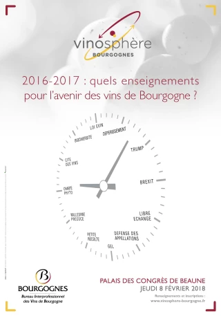 Comprendre tout ce qui change pour la filière des vins de Bourgogne et sa viticulture à Vinosphère