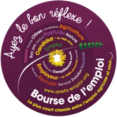 Offre et recherche d'emplois: ayez le bon réflexe avec la Bourse de l’emploi
