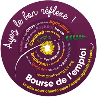 Offre et recherche d'emplois: ayez le bon réflexe avec la Bourse de l’emploi