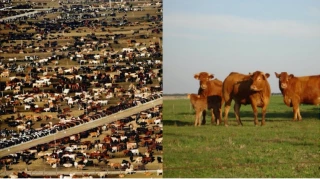 Dans les négociations UE/Mercosur, la balle dans le camp sud-américain