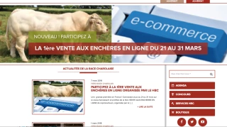 Retour sur la première vente aux enchères numérique organisée par le HBC
