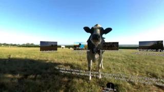 Les bons gestes by FNSEA, pour apprendre à travailler dans une ferme grace à la réalité virtuelle !