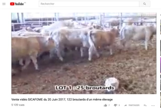 Le saviez-vous ? La Sicafome expérimente un nouveau procédé de vente par vidéo...