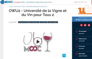 Le Soft Power des vins de Bourgogne avec de nouveaux cours ouverts en ligne