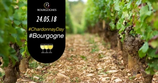 Avec #ChardonnayDay, pensez Bourgogne !