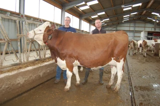 En élevage laitier, quand la vache va, tout va