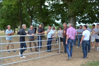 Charolais Evaluation : une assemblée sous le signe de la reprise