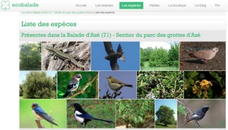 Découvrir la nature, pas à pas avec Ecobalade