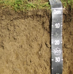 Le point sur la fissuration des sols prairiaux