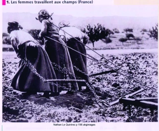 Centenaire de la Grande guerre : Un éclairage sur le rôle des femmes dans l’agriculture