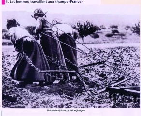 Centenaire de la Grande guerre : Un éclairage sur le rôle des femmes dans l’agriculture 