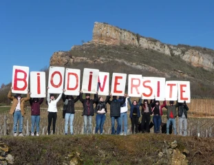 Lycée viticole de Davayé, les rencontres agro-écologiques, c'est le 10 mars