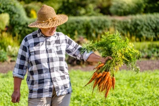 En ce qui concerne l'alimentation des seniors, les réconcilier avec le plaisir