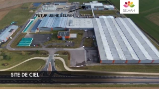 Bourgogne du Sud veut promouvoir le soja français en alimentation humaine avec Selvah