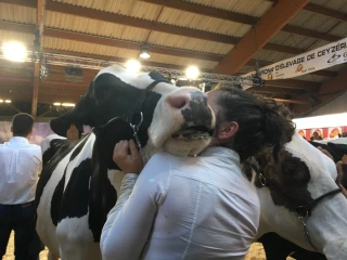 L’édition de tous les records pour l'Expo du Futur 2019 à Saint-Denis-les-Bourg (Ain).