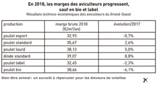 Bien-être animal : un surcoût à répercuter pour les éleveurs de volailles