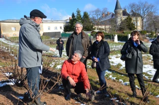 Plan Beaujolais : la Région Auvergne Rhône-Alpes renforce son soutien