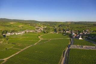 Appellation Bourgogne : La mise au point de Dominique Piron et de l'Interbeaujolais