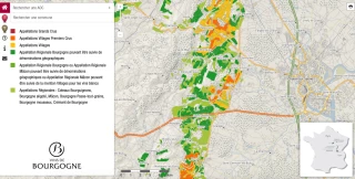 La Bourgogne cartographiée jusqu’aux AOC régionales
