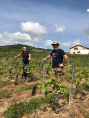 Les premiers retours de Wizifarm en Saône-et-Loire 