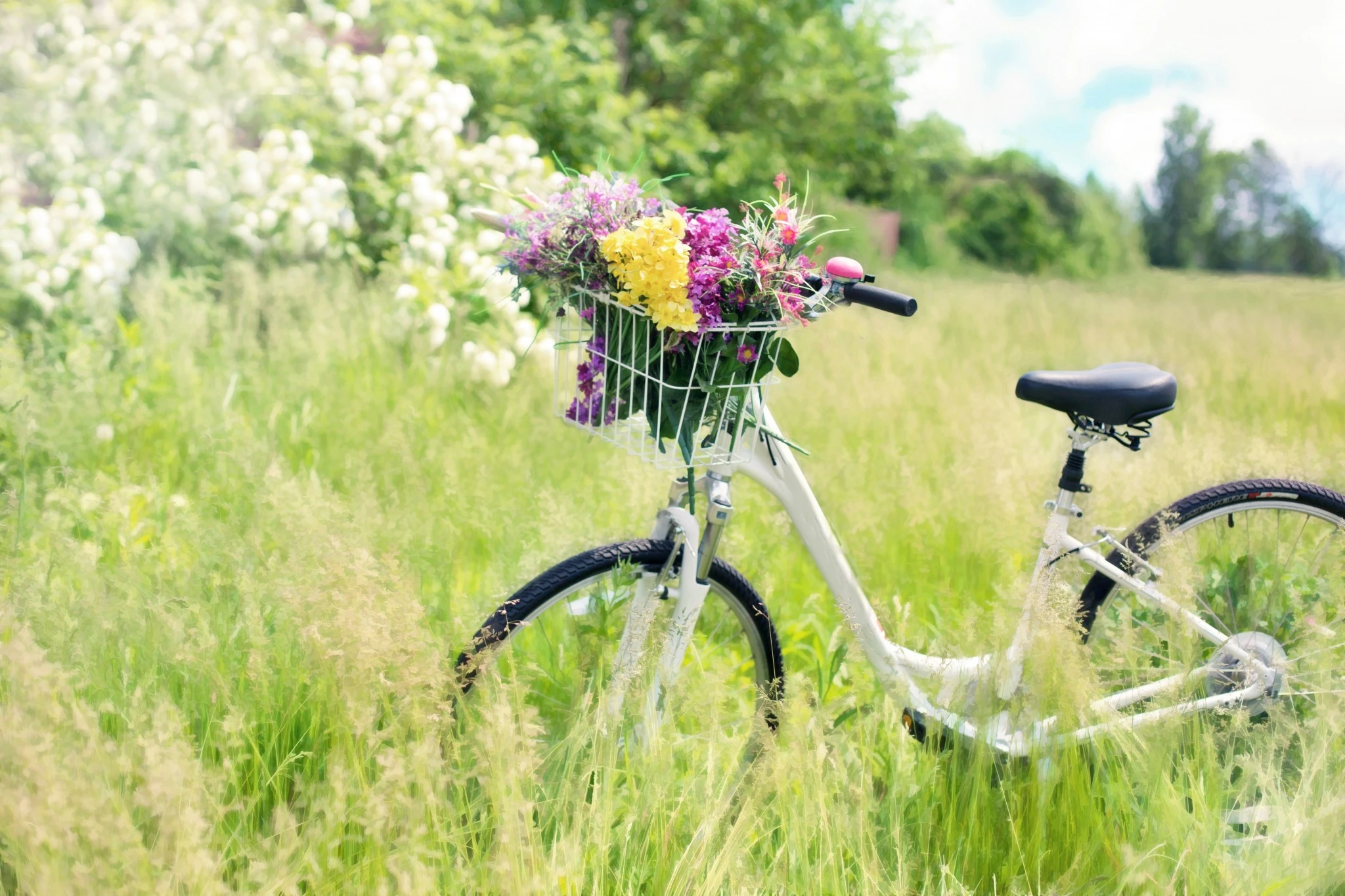 500.000 € pour lex chèques vélo