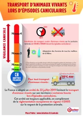 Interbev élabore un plan d'action pour informer les opérateurs des mesures à appliquer pendant les épisodes de fortes chaleurs