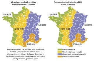 Assurer la germination rapide du colza pour réussir son implantation