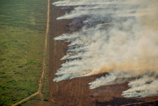 Nouvelles alertes sur la responsabilité européenne dans la déforestation