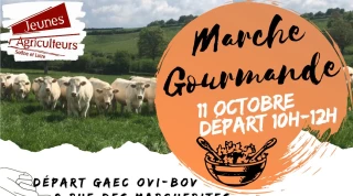 Quatre marches pour découvrir les produits locaux