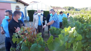Les vendanges, période clé de l’année : moment propice pour la visite du nouveau préfet