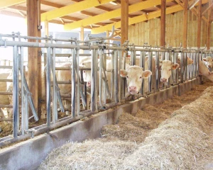 L’efficience alimentaire, un défi pour l’avenir 