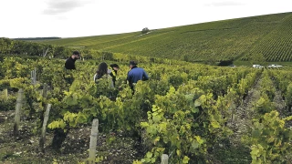 Un projet de recherche pour lutter contre