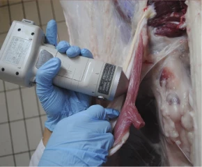 La couleur compte toujours