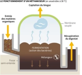 La micro-méthanisation au service des petites exploitations